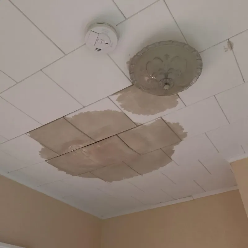 Ceiling Water Damage Repair in Lakewood Park, FL