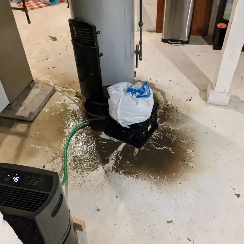 Sewage Backup Cleanup Service in Lakewood Park, FL